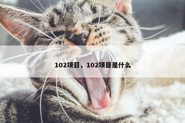 102项目，102项目是什么