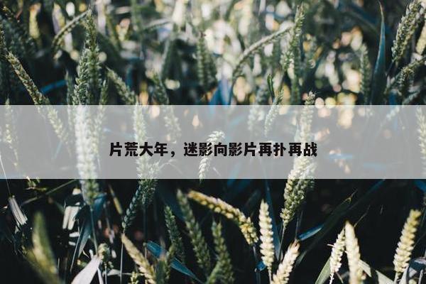 片荒大年，迷影向影片再扑再战