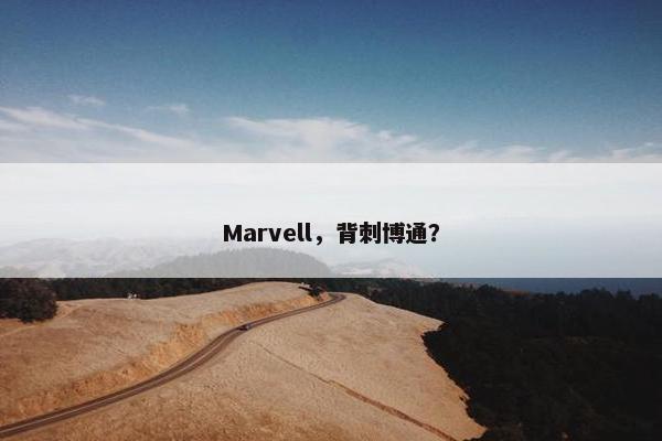 Marvell，背刺博通？