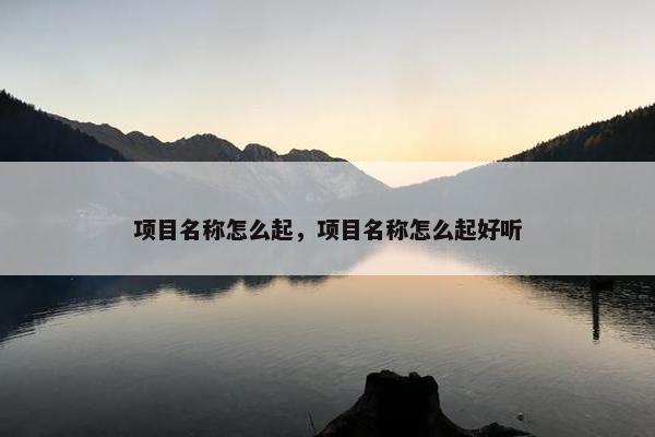 项目名称怎么起，项目名称怎么起好听