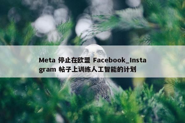 Meta 停止在欧盟 Facebook_Instagram 帖子上训练人工智能的计划