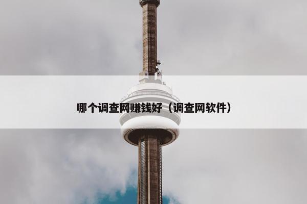 哪个调查网赚钱好（调查网软件）