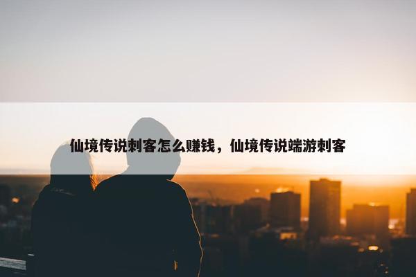 仙境传说刺客怎么赚钱，仙境传说端游刺客