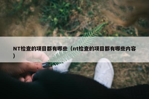 NT检查的项目都有哪些（nt检查的项目都有哪些内容）