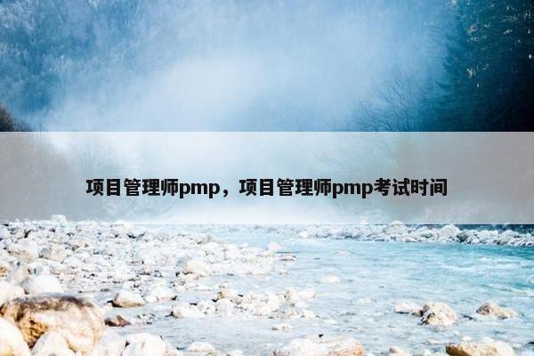 项目管理师pmp，项目管理师pmp考试时间