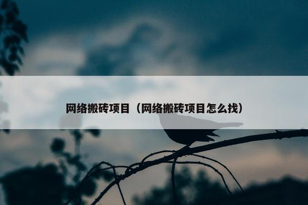 网络搬砖项目（网络搬砖项目怎么找）