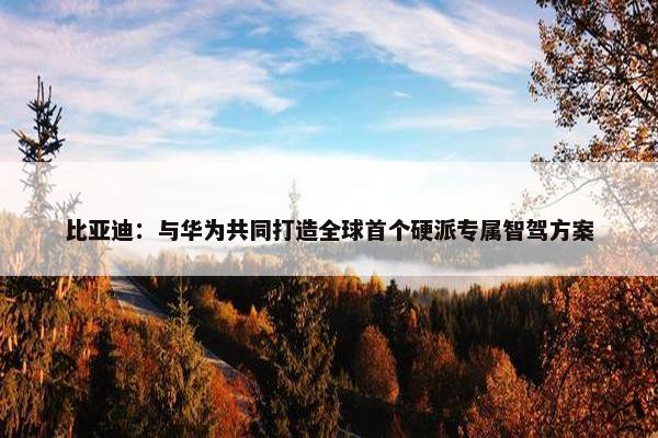 比亚迪：与华为共同打造全球首个硬派专属智驾方案