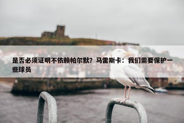 是否必须证明不依赖帕尔默？马雷斯卡：我们需要保护一些球员