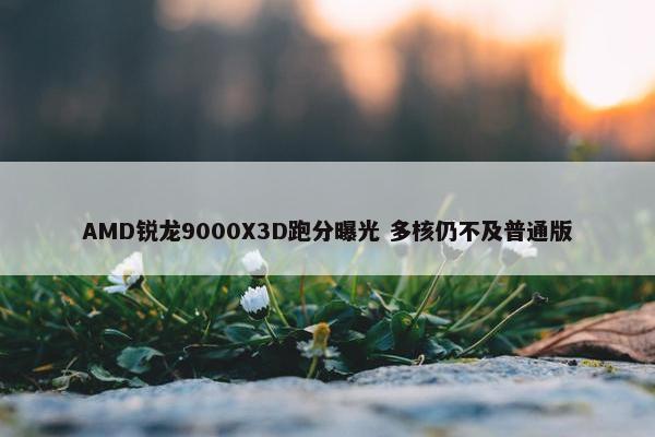 AMD锐龙9000X3D跑分曝光 多核仍不及普通版